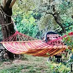 Peaceful Retreat At The Foot Of Black Mountain Feriehus Caunes-Minervois