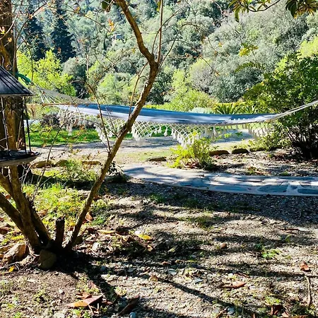 Peaceful Retreat At The Foot Of Black Mountain *