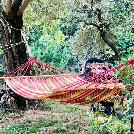 Peaceful Retreat At The Foot Of Black Mountain