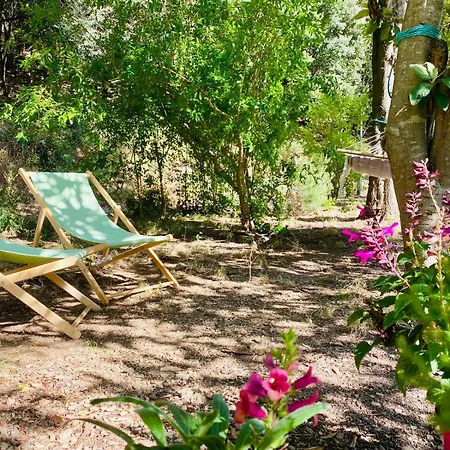 Peaceful Retreat At The Foot Of Black Mountain بيت للعطل Caunes-Minervois