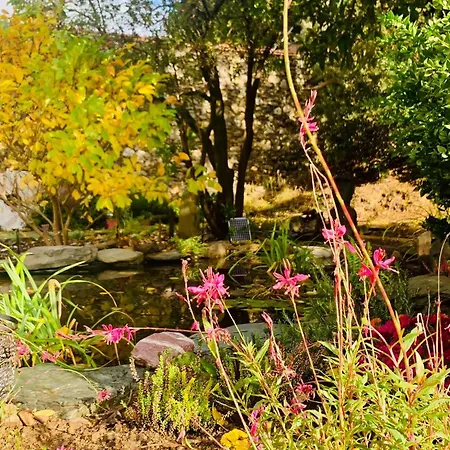 بيت للعطل Peaceful Retreat At The Foot Of Black Mountain