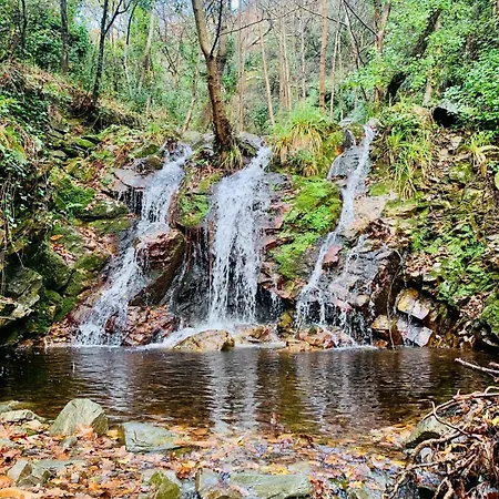 Peaceful Retreat At The Foot Of Black Mountain Caunes-Minervois