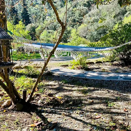 Peaceful Retreat At The Foot Of Black Mountain بيت للعطل *